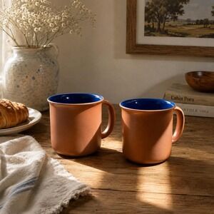 Crown Corning Japan Terracotta Brown and Blue Sonora Set Of 2 Mugs Vintage